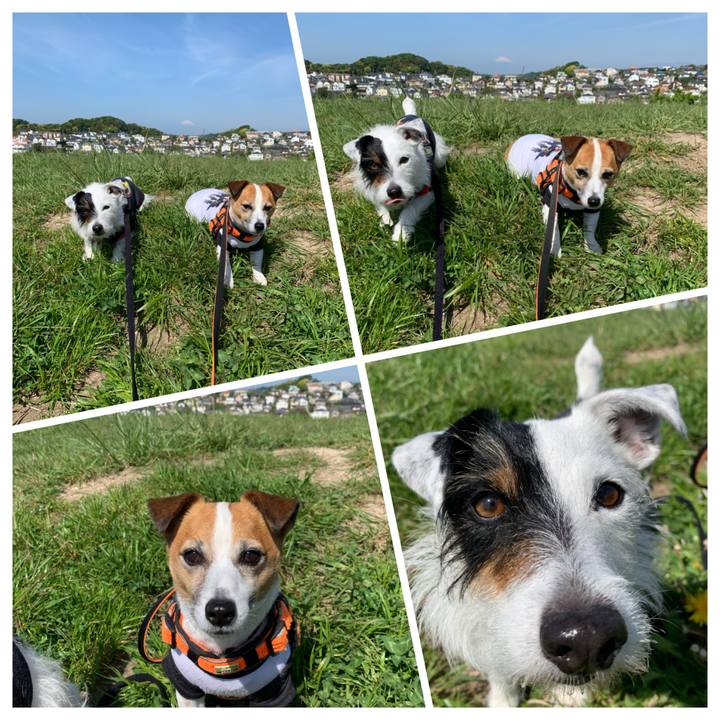 8574c99b 8370 40a8 b334 976f1ef4444b 1619139378664