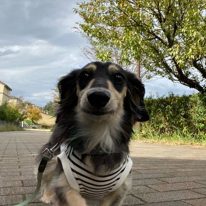 8574ced9 051a 402e 9217 f501f2319386 1760844936303