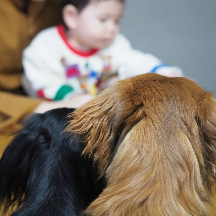 8574e61a b530 46a5 845f d49d32abf7d8 1710575308693