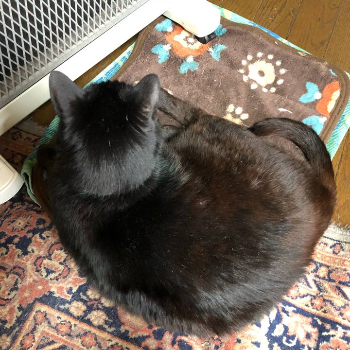 8574f7e8 f3cc 49a8 bd7c 2e053bec39d9 1518190516614