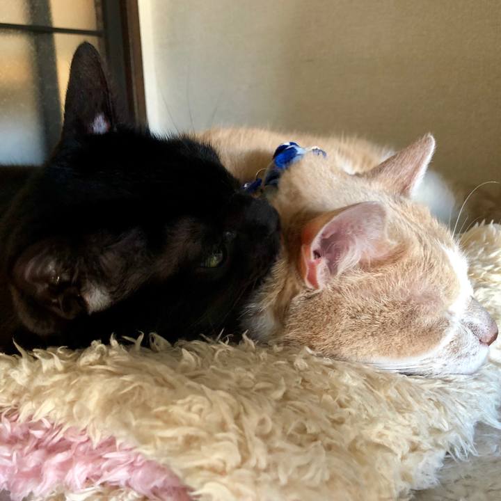 8575045d 26eb 4c6a b186 b184673a2ea0 1547360819533