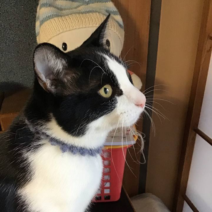 85757f52 2f25 4d99 b2f2 0e10334f2d05 1641248901915