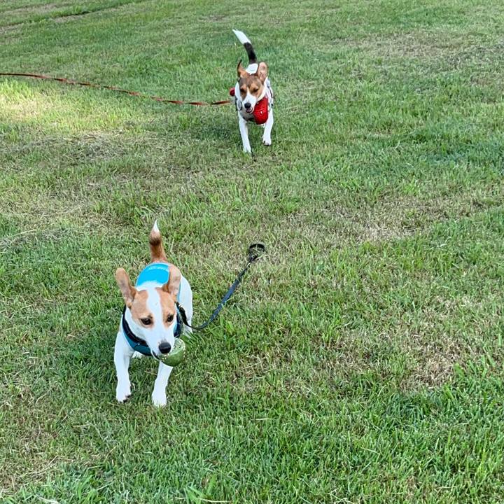 8575a17c 9fe1 4bc9 894c ab7d4d70a9f9 1725617222062