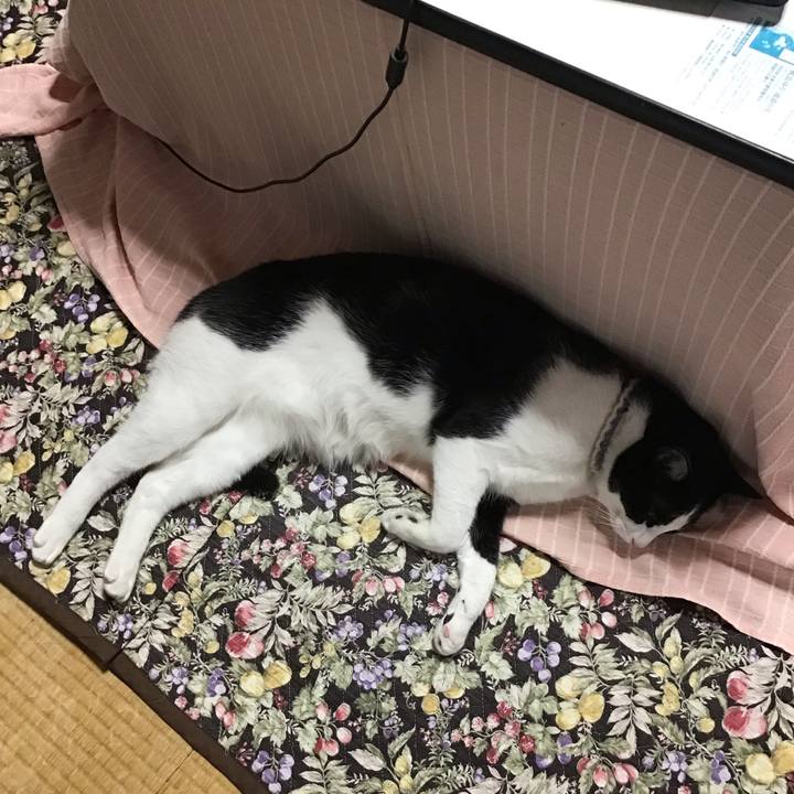 8575a4bd 5e6d 4bc5 9c98 4395b8d3a713 1655425831807