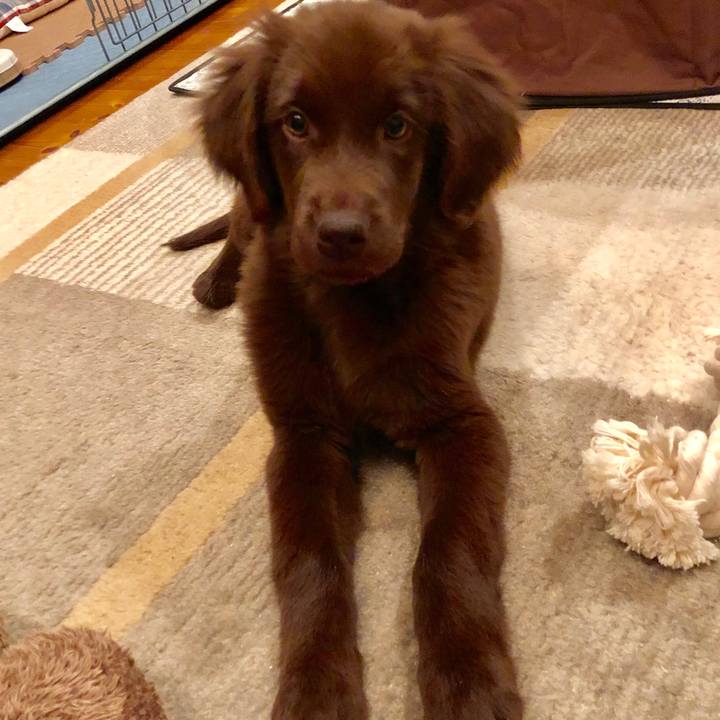 8575b0d4 9c3e 47b4 8476 6aec7c5478da 1552603465143