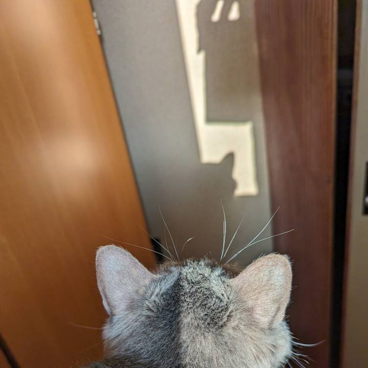 8575d0a0 45b7 48f2 b4cd 00b0874100df 1707800393159