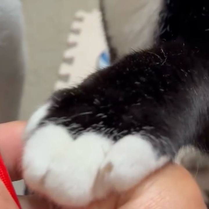 8575f3fc 8719 4f2e 8e33 8ffd94818aea 1747617849737