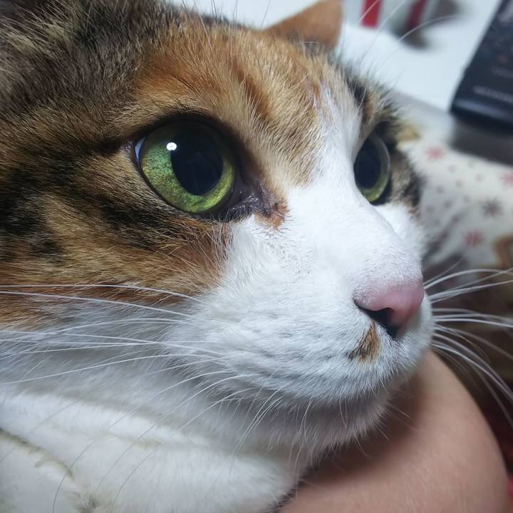 857601ac 1c7b 4d26 ad3d bc8e5e0d6199 1581284295664