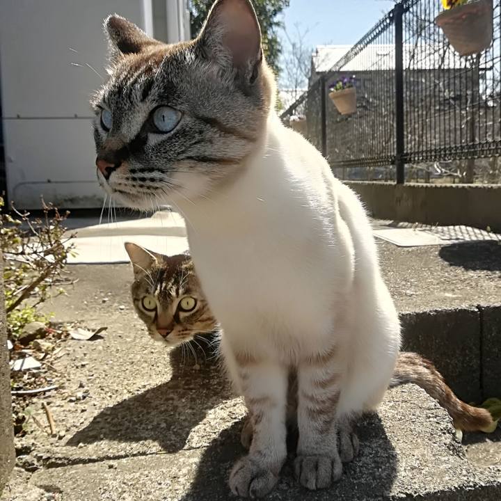 8576034e 095c 40c7 899f 40ede33c1f5b 1521264430156