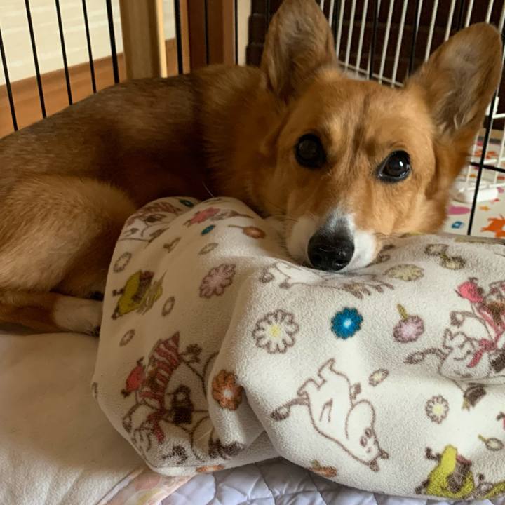 857638f3 e446 4b31 8e65 f0d919d631b6 1622155888135