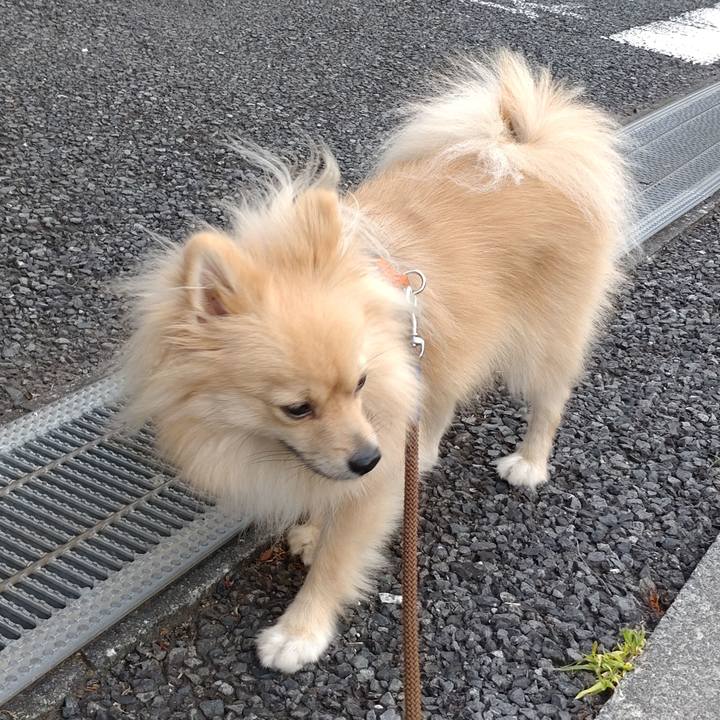 8576596c e088 4d04 9938 e377c9f5de28 1757285707861