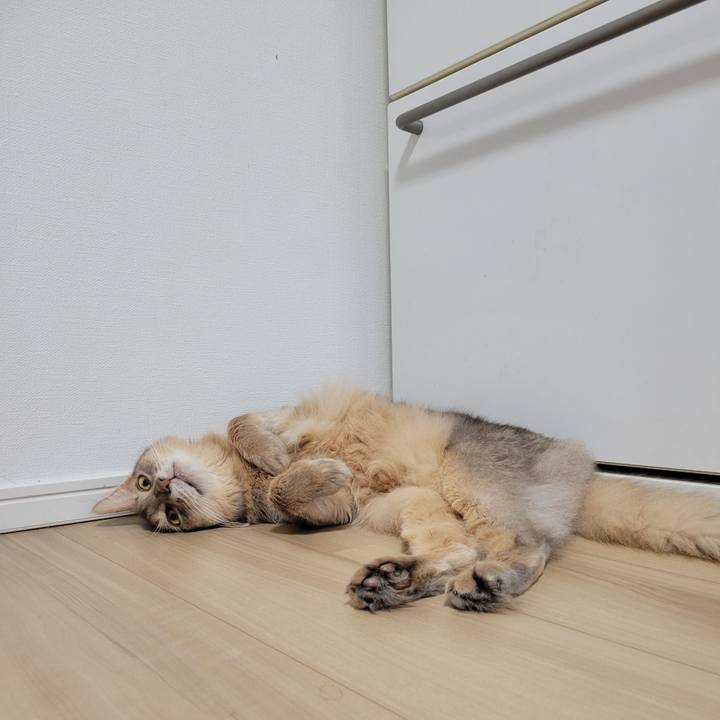 8576631e 5eda 4667 9515 a7d166255d4e 1628161199471