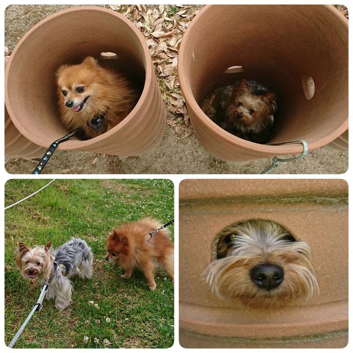 85766ecd 7b44 4965 bac0 6c6cfa40aa11 1558240458762