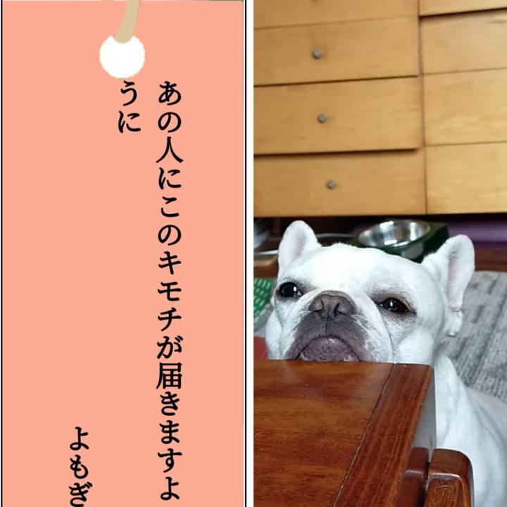 8576e3d3 192a 440c bab5 b16f3ddd2087 1657149041277