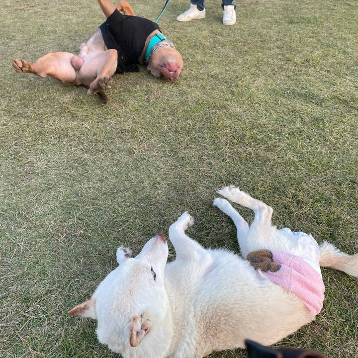 857714b4 3c57 4e72 9d0e 1041d1c60c35 1668589456898