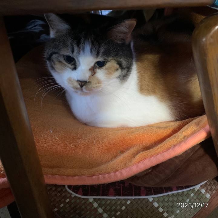 85771617 a3d5 4583 883a 3dd1b03a1b16 1702787539636