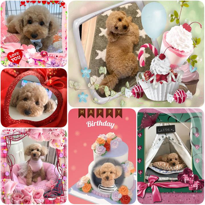 8577aa8e 55f7 4976 997a 8edd37c2222c 1600639488617