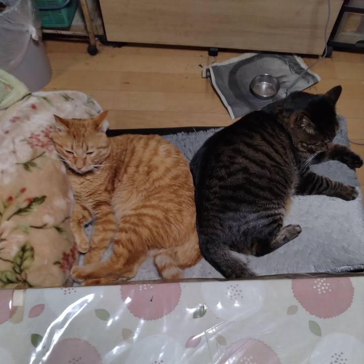 8577e06f 7ab9 4726 9e3e 8cb39f37c853 1672818894150