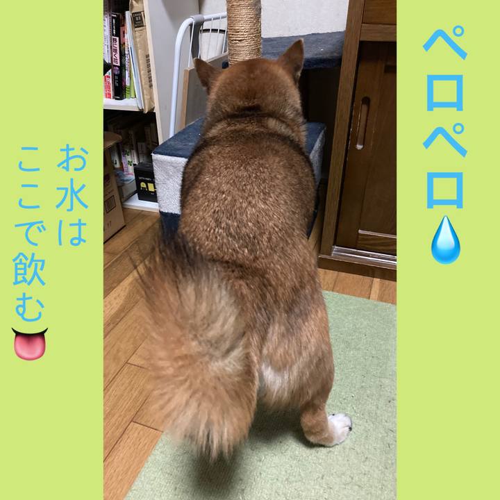 8577ef6e 48e1 40d1 bf6b f80f9edd584d 1677069206833