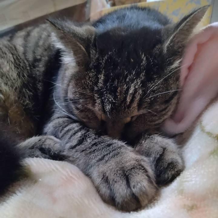 857841d4 80a4 4f3f b563 e121372f56a0 1676376234862