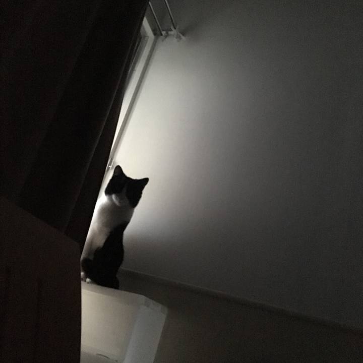 857852bb ec67 43a5 ac28 bb9bffa4bae3 1539995735460