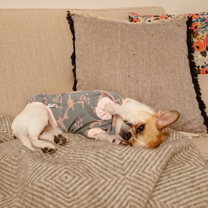 85787023 5986 4fd8 8bfd 90e4d917fcf0 1583401506849