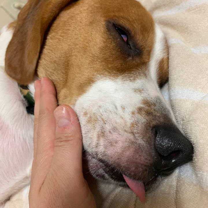 857874f0 9e73 4415 97b6 7b7d285a2f00 1565190295430