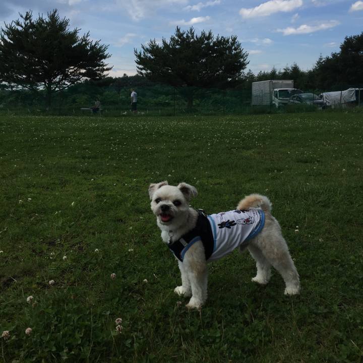 8578cbc7 9c2c 44d8 b16c 6f4bed846522 1530427881210