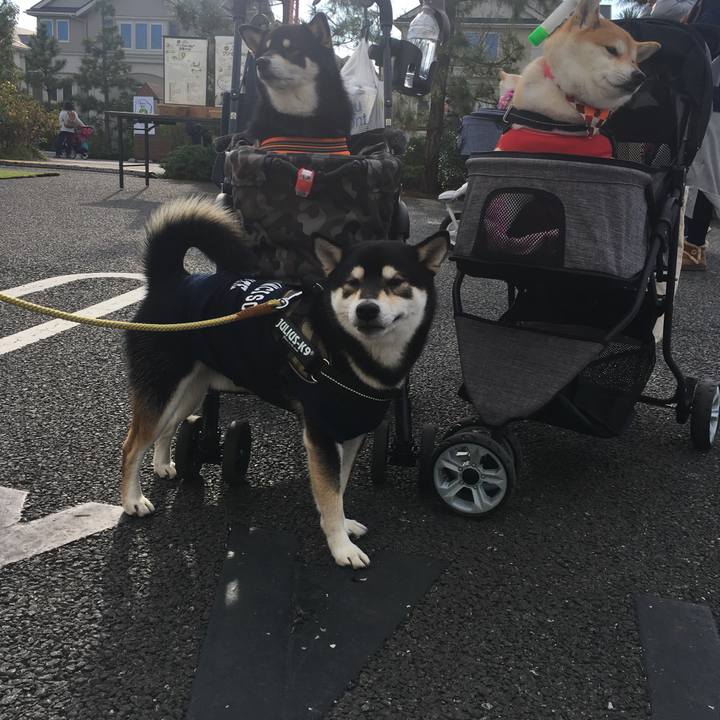 8578f90a 2df2 4b3a 8951 dd567475a4c2 1575198109249