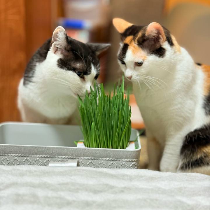 85791193 6066 4441 b72c d0e304e203ea 1728521347336