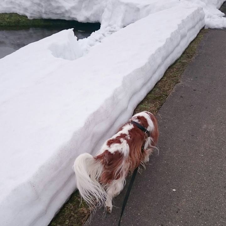 85791d4d c69b 496f b5e2 445c0aa6040e 1551222071619