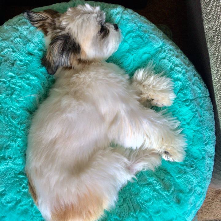 8579458b 4189 4a04 a07c 11aa8a759c63 1525238059699