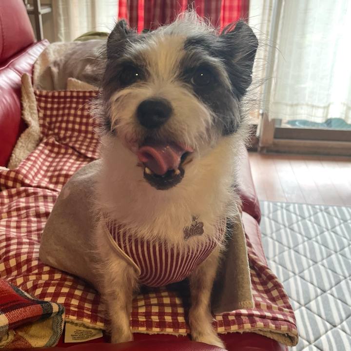 85797a89 5c33 4592 a21f 59fc8584912d 1752753403016