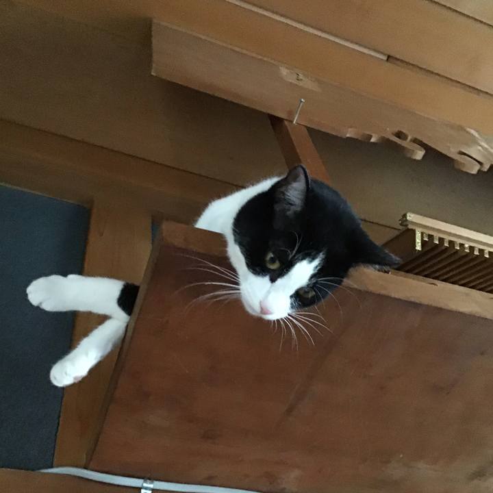 8579f7fa 4875 4474 80d5 2c9259e46383 1654323231022