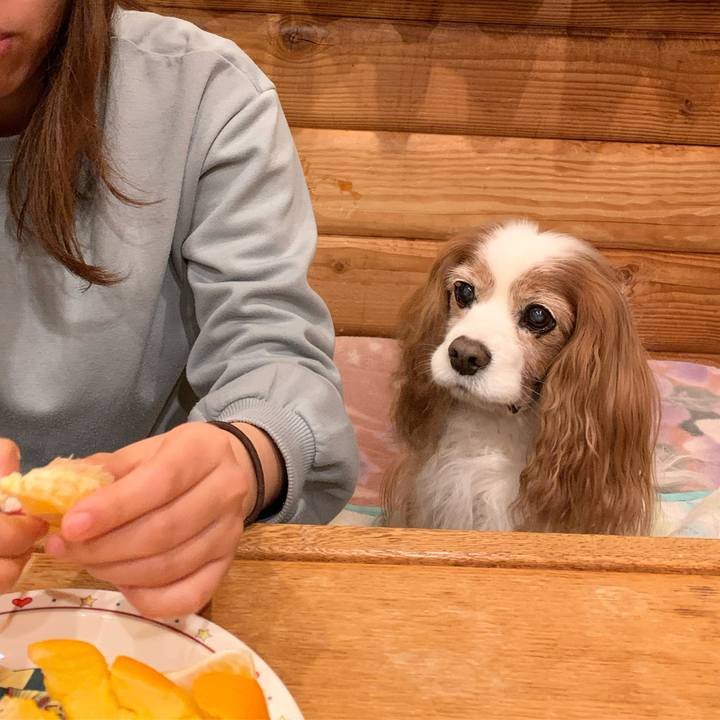 8579fbb6 ccdd 4e40 b1da 8fa3c90847f1 1616767177701