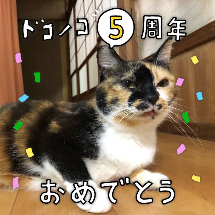 857a097a 130b 468c a51d 5c0f97162b79 1622981327602