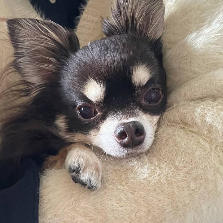 857a7b1f 9900 4394 9757 77ed68dcc50a 1610337193824