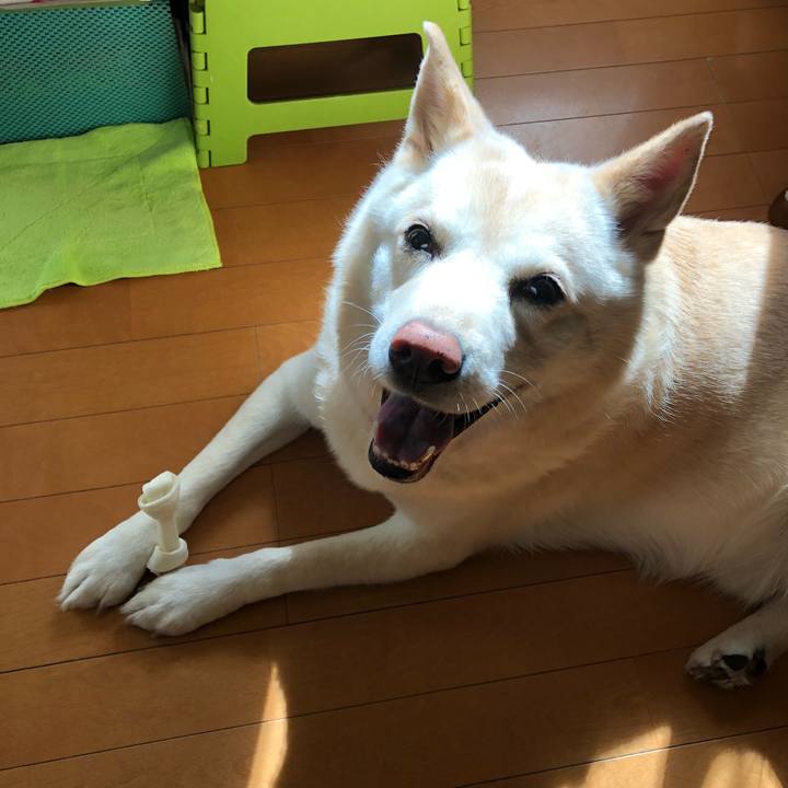 857a7c51 c14a 47eb ab29 6420749ee80d 1542015578857