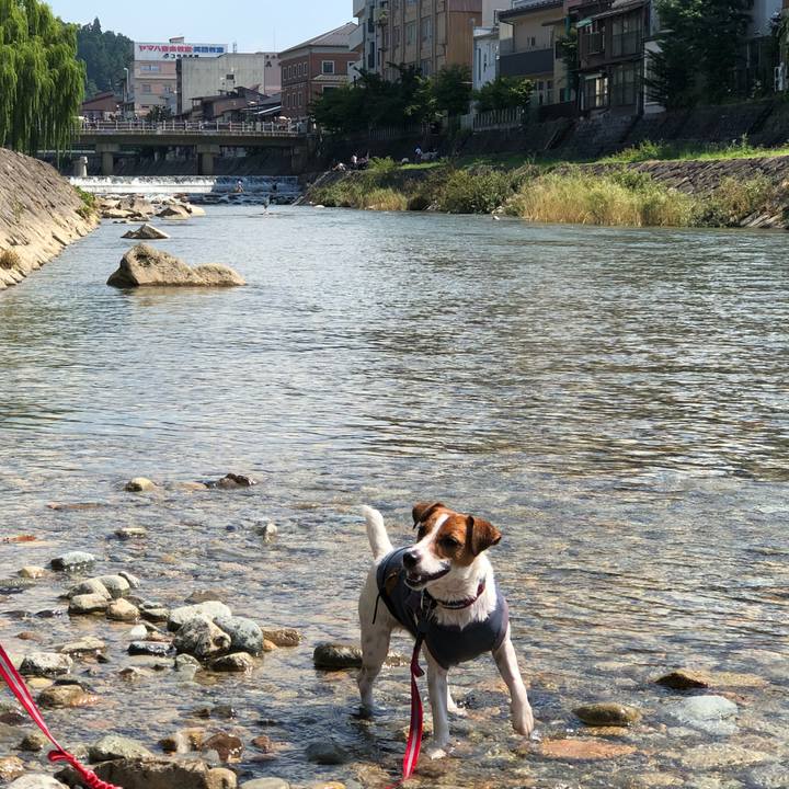 857a826e d4e5 4470 a83a 5a6399e8af05 1531742027195