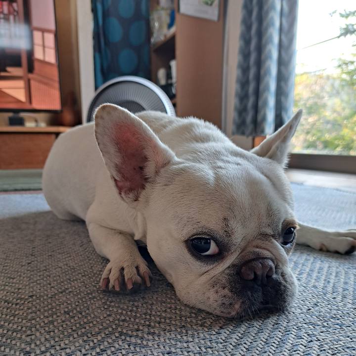 857acb00 78c0 4763 acf7 27dcad51638d 1723592631517