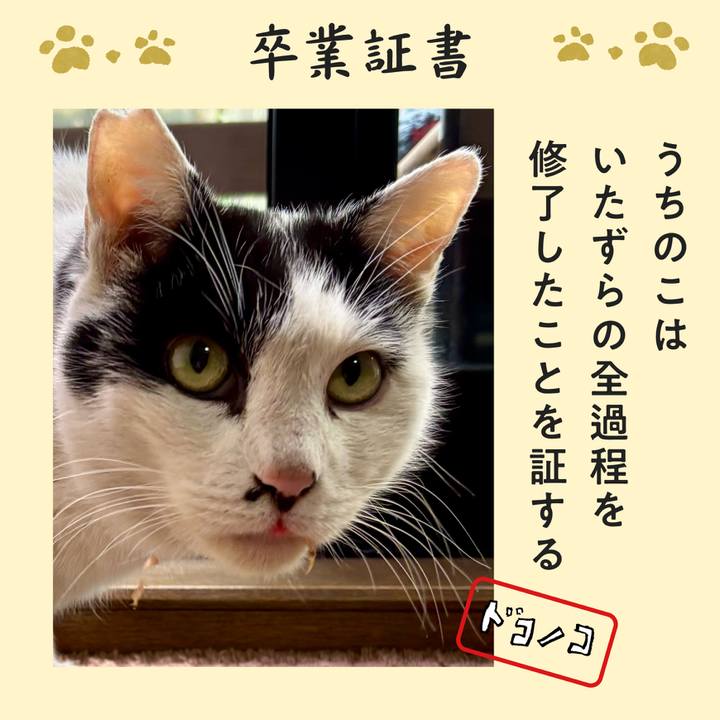 857ad8e0 d3ad 4437 8199 7e2cb9550502 1771846066842