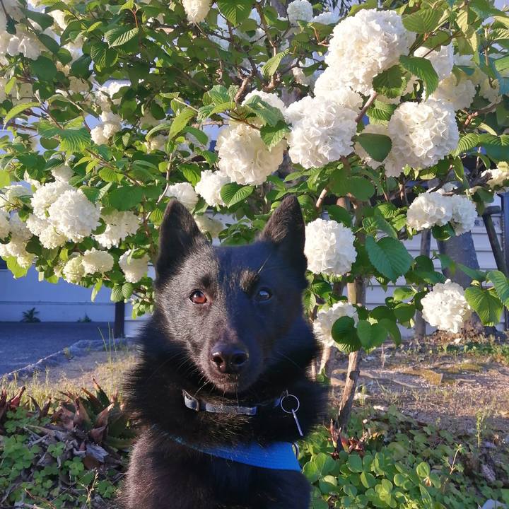 857ae060 5f05 4057 9511 47d682a2c238 1619125109287