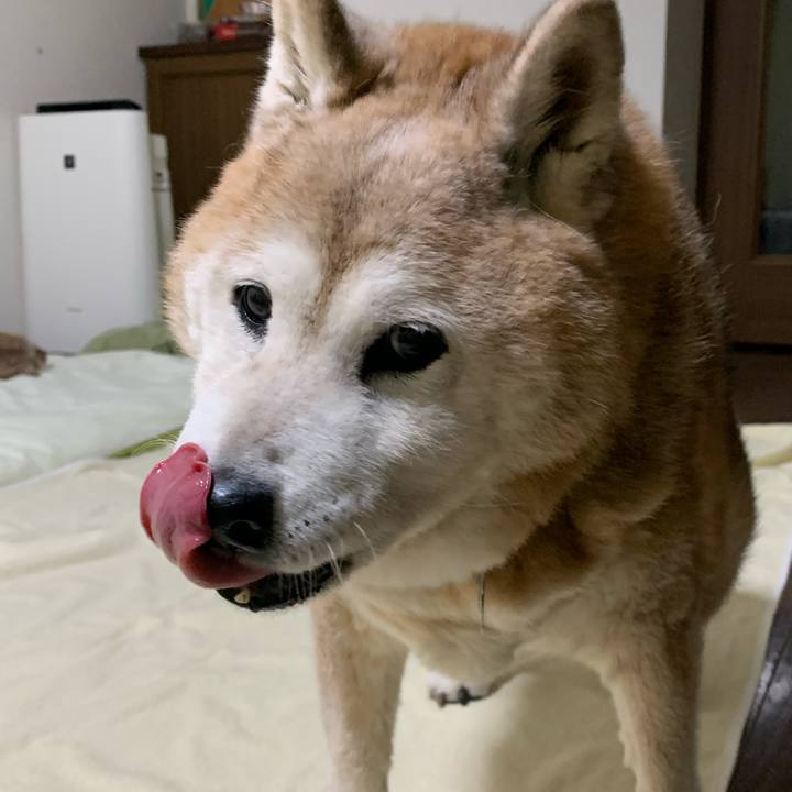 857b1d58 77eb 4a9e 859e d402ab7a5226 1671457023309