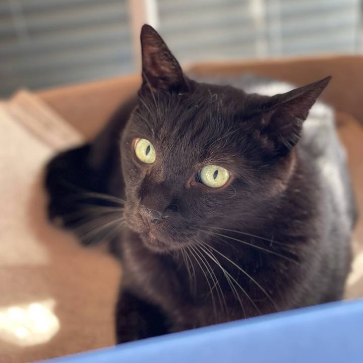 857b2040 29ae 41e7 a59d 105161865b7b 1634176795387