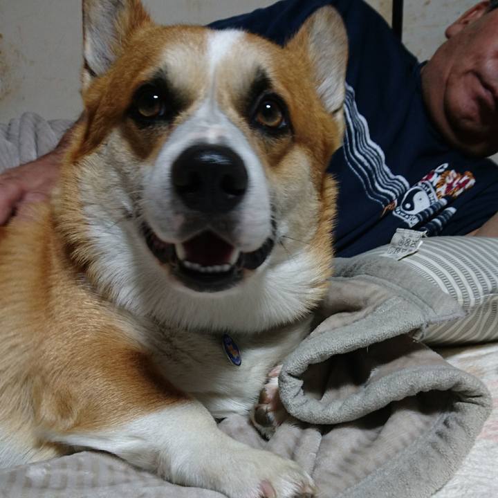 857b2f72 461e 42df 9f4f 3feeeb60da7e 1626823030876