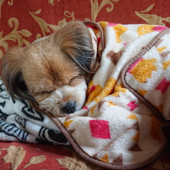 857b3303 71b2 41f7 ab81 5af77962720b 1580856796426