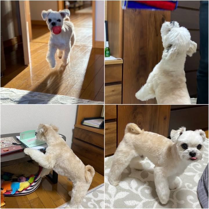 857b5f6c 43d8 496c beb4 89a45977e79e 1584104961953