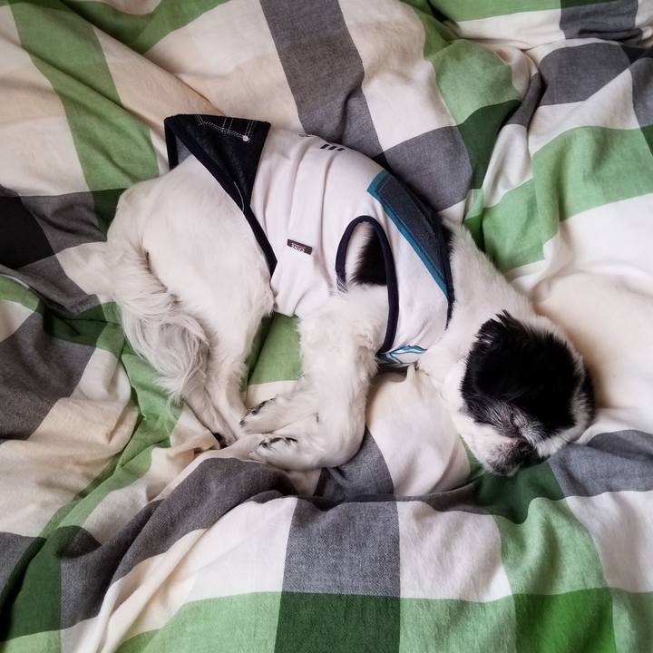 857b6593 f4a5 49ac a5e0 29ece6bbe299 1620444226490