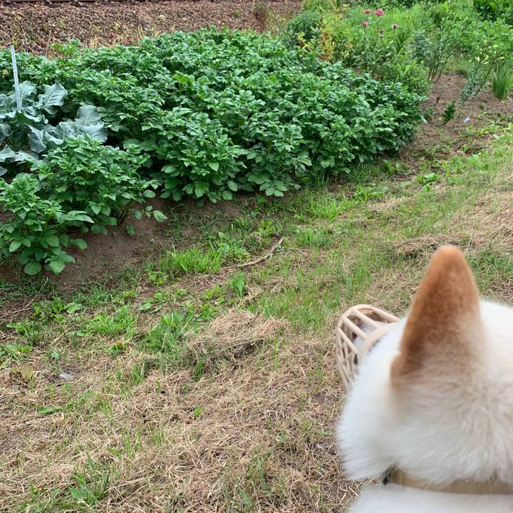 857b6b0b 1b6d 4baf 81aa c02aea2f2b24 1562358632736