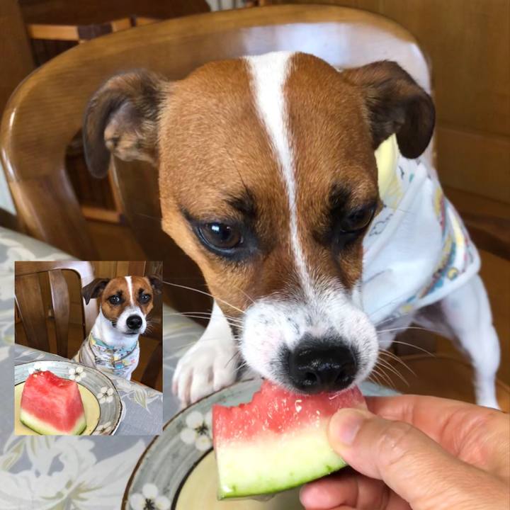 857b70ff 9b8d 4b3d b9e9 de66b1b3ac78 1565052170881